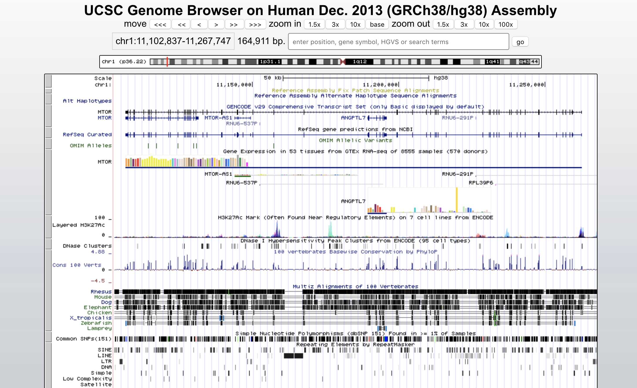 UCSC Genome Browser GenoCat.tools